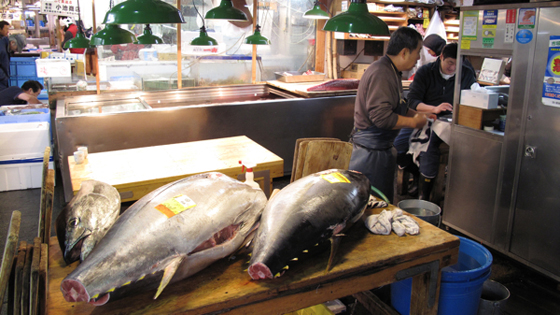 Tuna